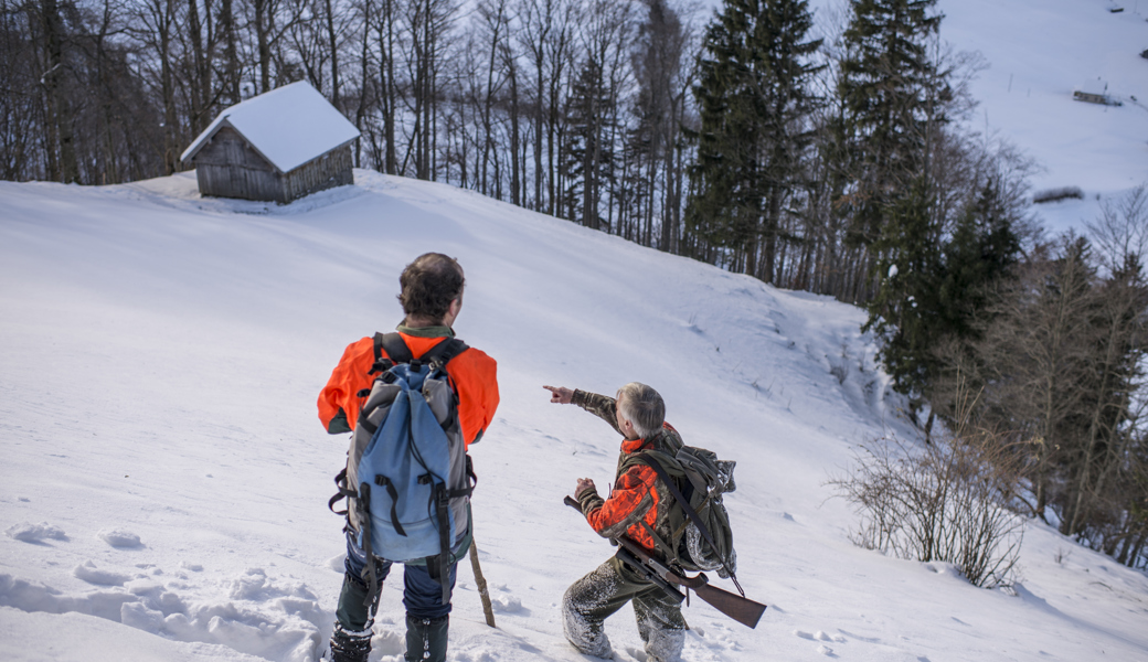 Hirsche im Visier – Jäger unter Druck