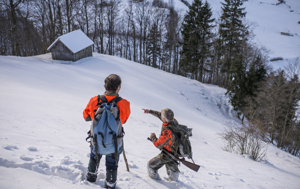 Treibjagd In Stein Archivbild Luca Linder