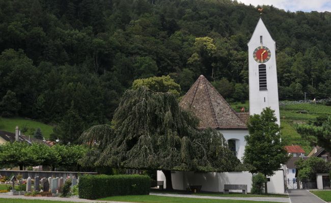 Schlechter Zustand: Das Dach der Kirche in Azmoos muss für 70'000 Franken saniert werden
