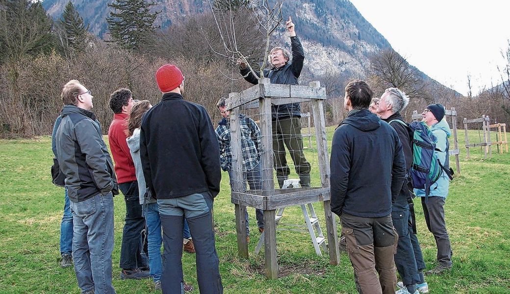 Das richtige Schneiden der Bäume kann man in der Region in Kursen lernen. 