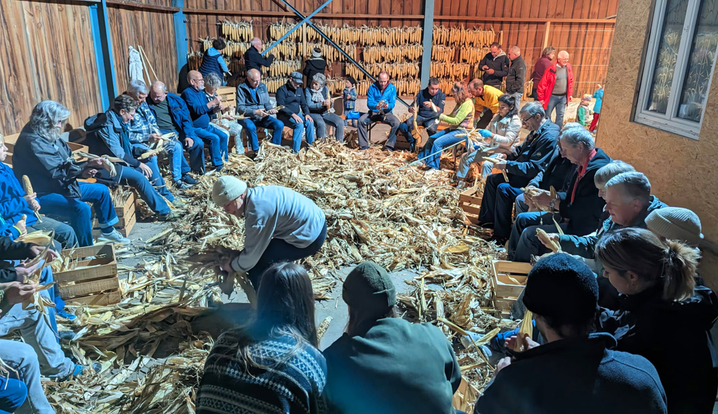 Werdenberger Tradition: Die Region zeigt sich am 12. Oktober an der Olma von ihrer historischen und modernen Seite gleichzeitig.