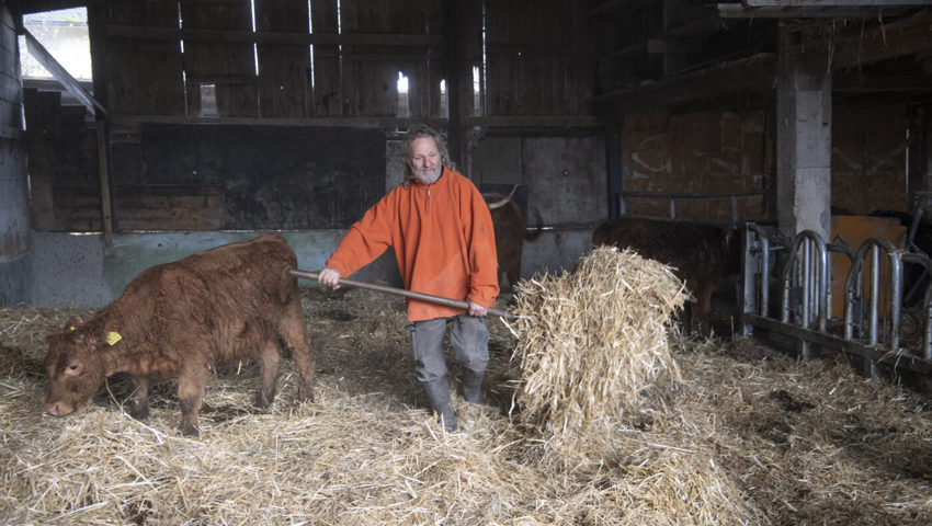  Einige Liegebereiche blieben vor dem Brand verschont.