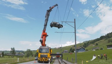 Kollision zwischen Auto und Zug – zwei Personen und ein Hund verletzt