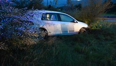 Alkoholisierter Lenker landet mit Auto im Wiesland