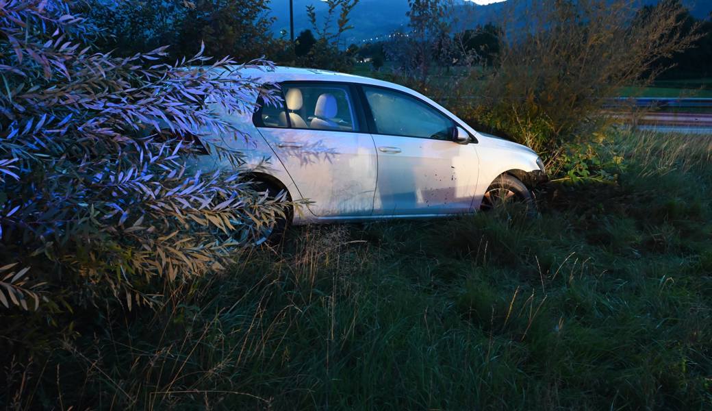 Alkoholisierter Lenker landet mit Auto im Wiesland