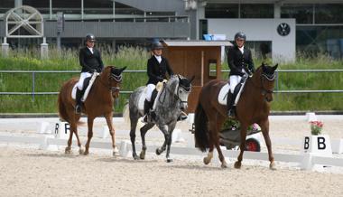 Jubiläum mit OKV-Dressurfinals vor der Haustüre
