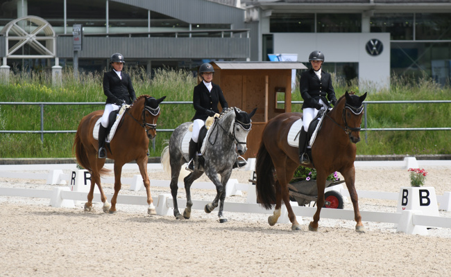 Jubiläum mit OKV-Dressurfinals vor der Haustüre