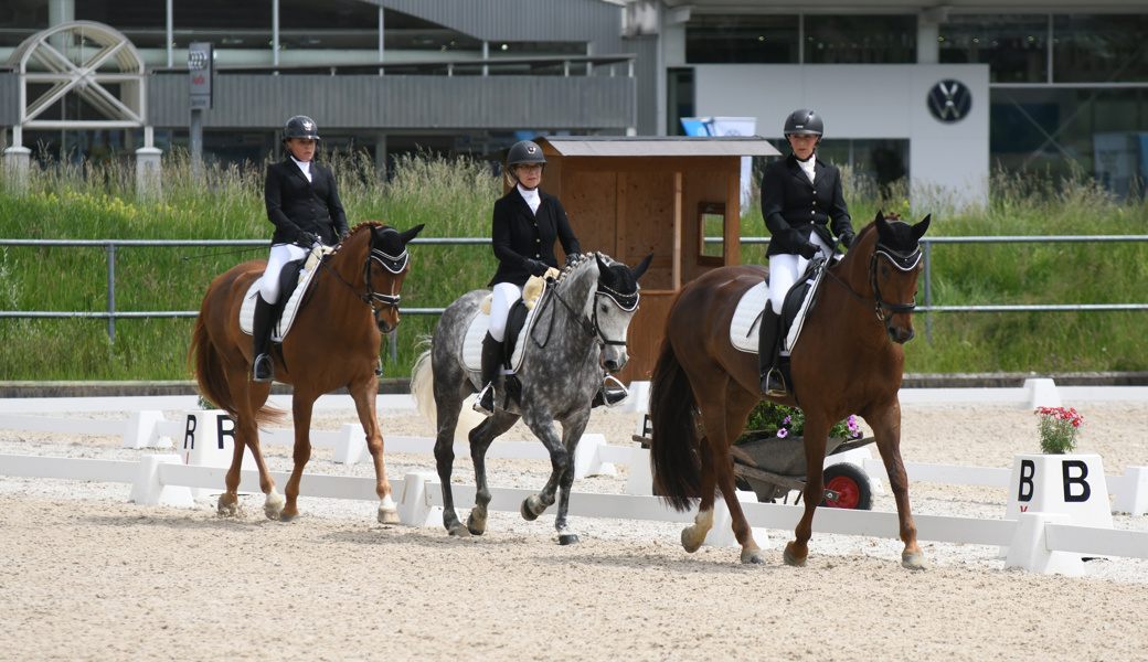 Auch eine Mannschaft des RV Werdenberg kämpft um den Titel.