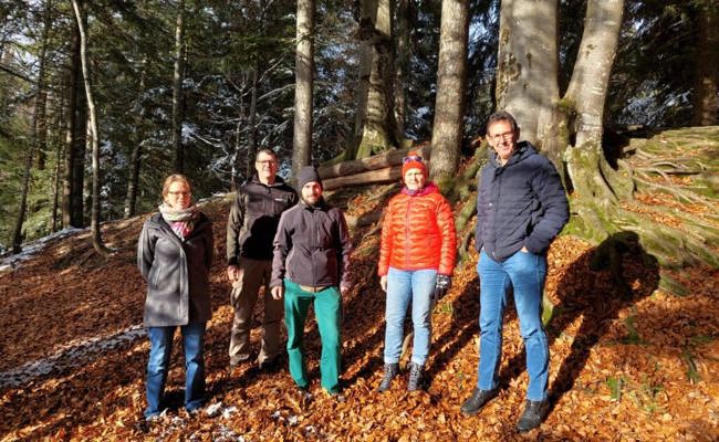 Vier Personen gewannen Walderlebnisse bei Fotowettbewerb