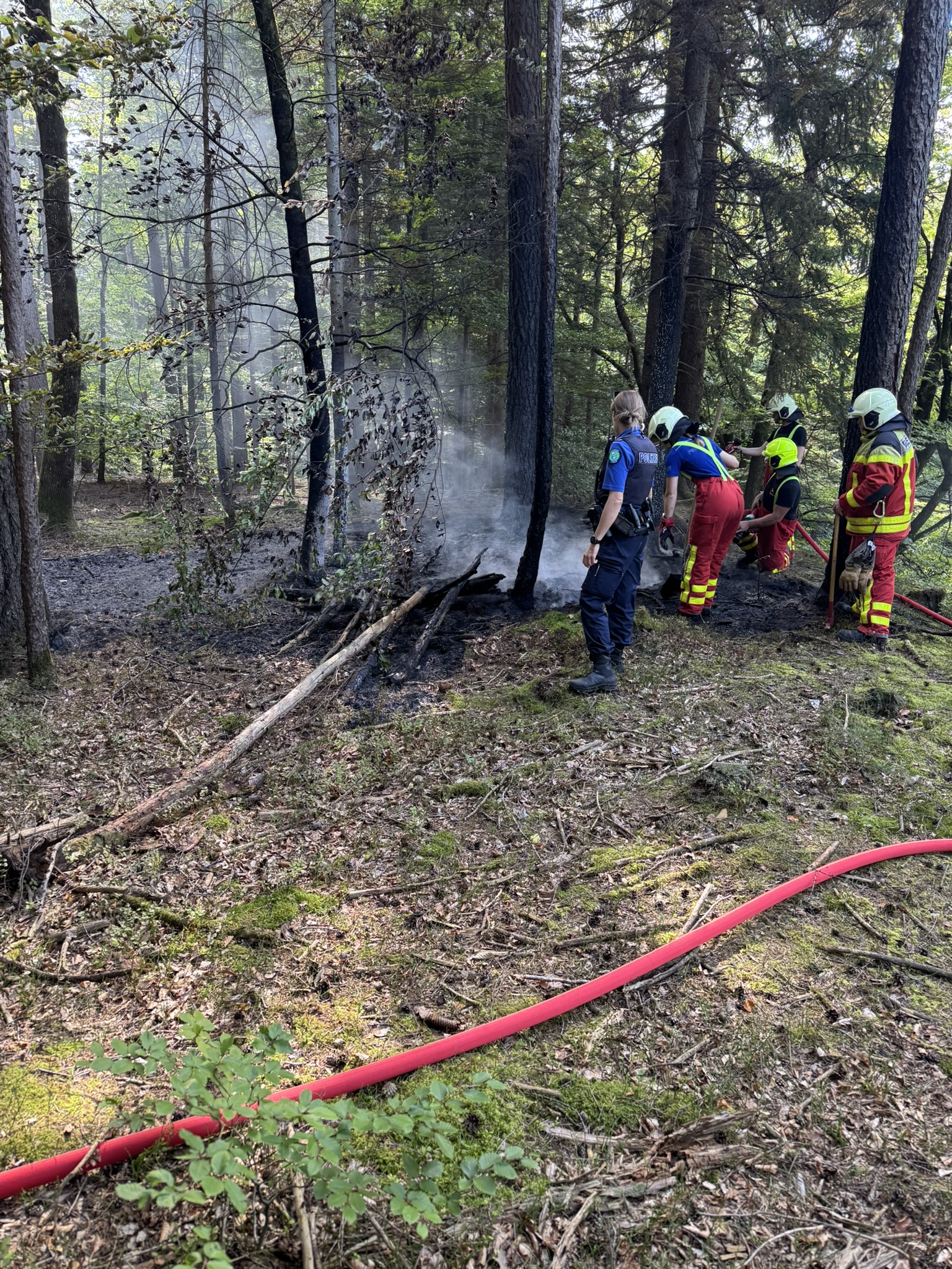 Waldbrand verhindert: Spaziergängerin entdeckt Schwelbrand und alarmiert die Feuerwehr