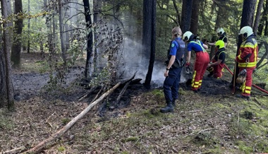 Waldbrand verhindert: Spaziergängerin entdeckt Schwelbrand und alarmiert die Feuerwehr