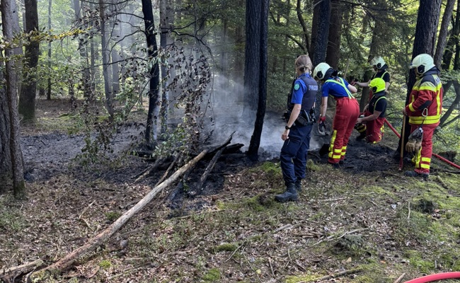 Waldbrand verhindert: Spaziergängerin entdeckt Schwelbrand und alarmiert die Feuerwehr