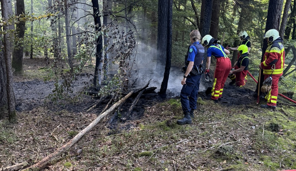Waldbrand verhindert: Spaziergängerin entdeckt Schwelbrand und alarmiert die Feuerwehr