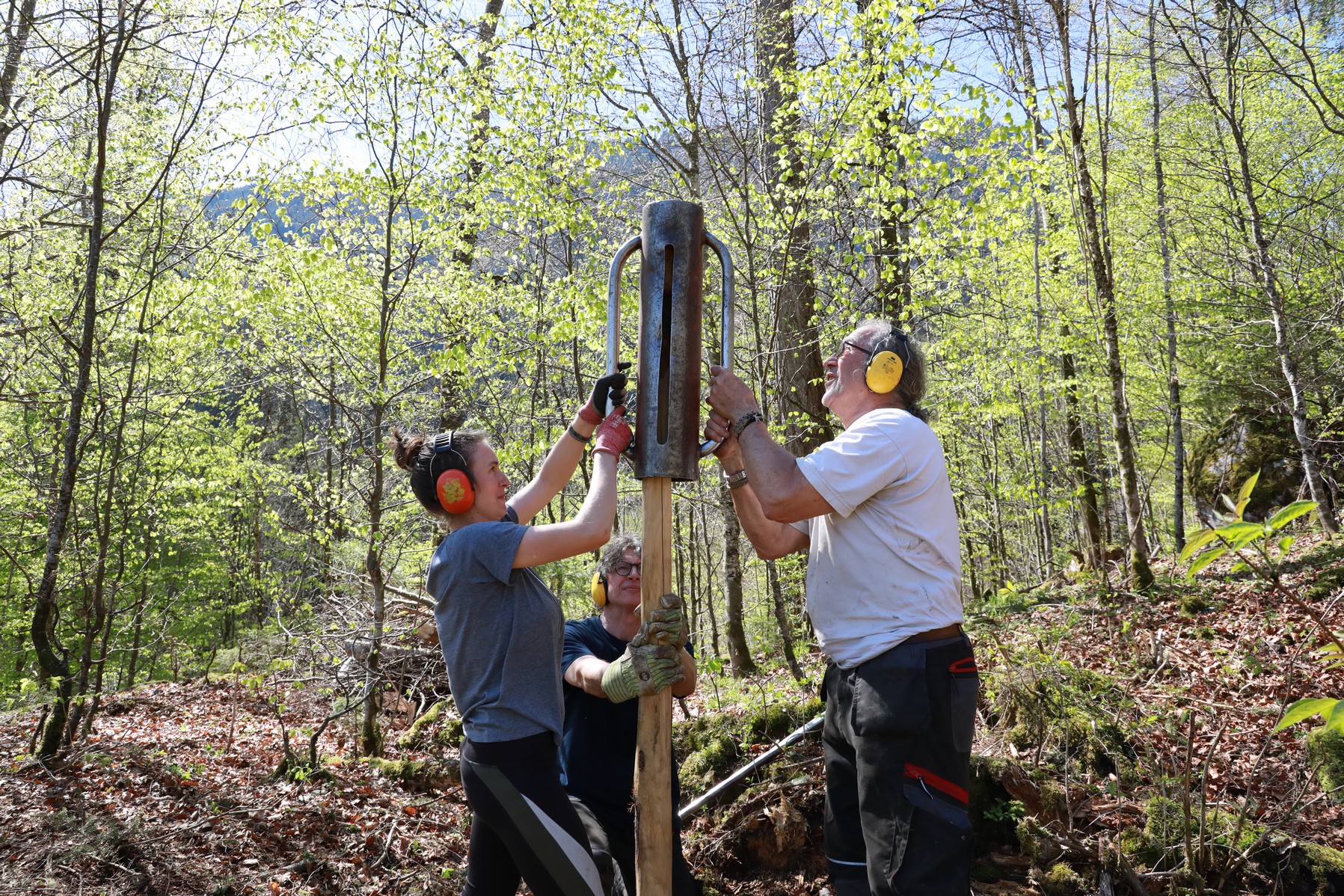«Es ist eine Art Pfadi-Lager»: Ein Waldprojekt, das Wurzeln schlägt