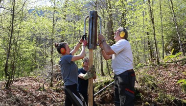 «Es ist eine Art Pfadi-Lager»: Ein Waldprojekt, das Wurzeln schlägt