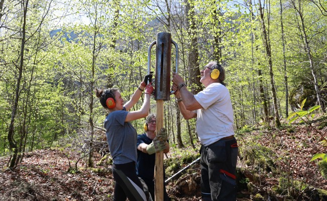 «Es ist eine Art Pfadi-Lager»: Ein Waldprojekt, das Wurzeln schlägt