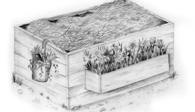Gartentipp: Mythos Verrottungswärme