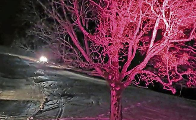 Helle Farben beim Rodeln am Tanzboden