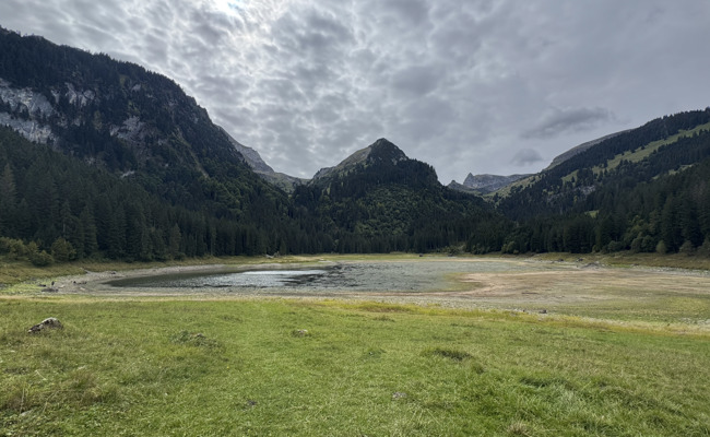 Folgen des Extremsommers: Warum am Voralpsee nur noch eingeschränkt gefischt werden kann