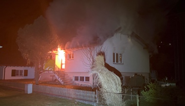 Feuer zerstört Einfamilienhaus