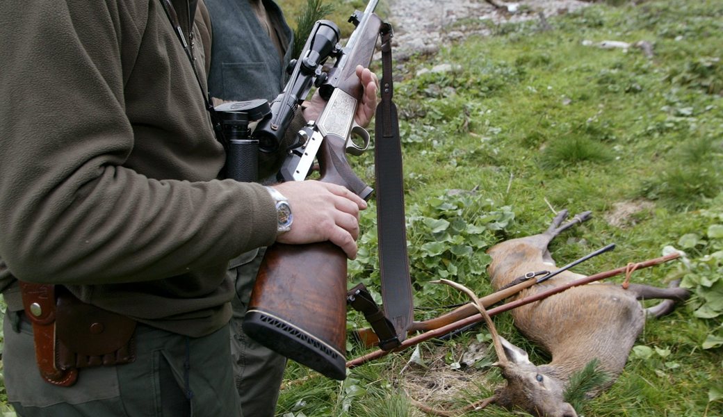 Im Toggenburg 28 Rehe, Hirsche und Füchse gewildert