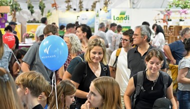 Hier steppt der Bär: Der letzte Wiga-Tag in Bildern