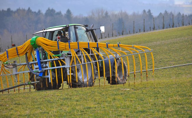Warum Bauern jetzt «bschütten» und welche Vorschriften dabei gelten