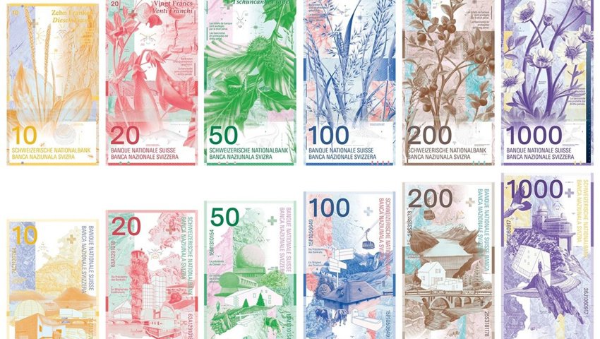 Konzept J: Pflanzen und Tiere.