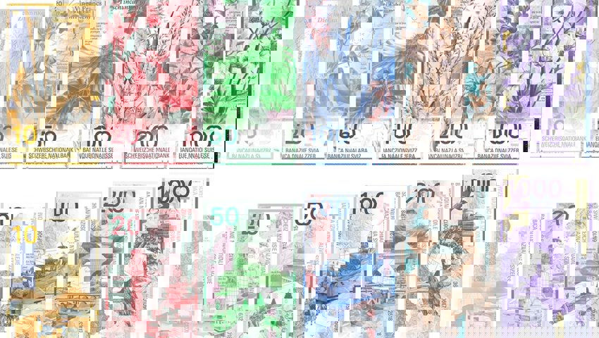 Konzept J: Pflanzen und Tiere.