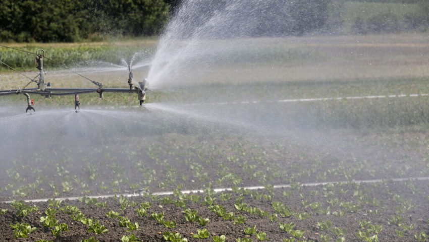  Wegen der Trockenheit dürfen Bauern ihre Felder nur noch eingeschränkt mit Wasser aus den Bächen und Flüssen bewässern. 