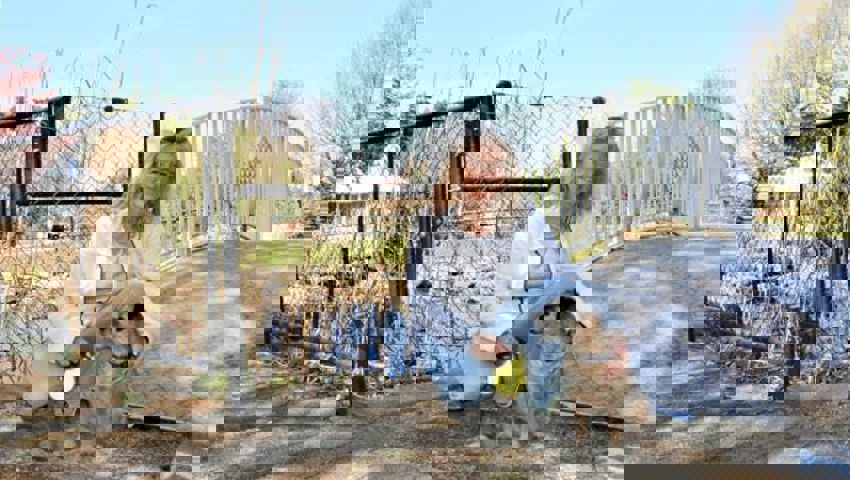  Brigitte Baumgartner, Präsidentin des Tierschutzvereins Toggenburg, organisierte für die sechs Katzen ein Zimmer im Tierheim Nesslau. 