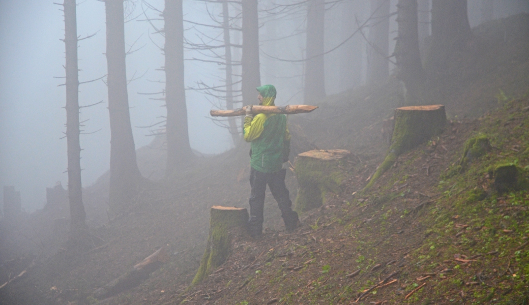 Bergwaldprojekt: Sie kommen, wenn der Wald nach ihnen ruft