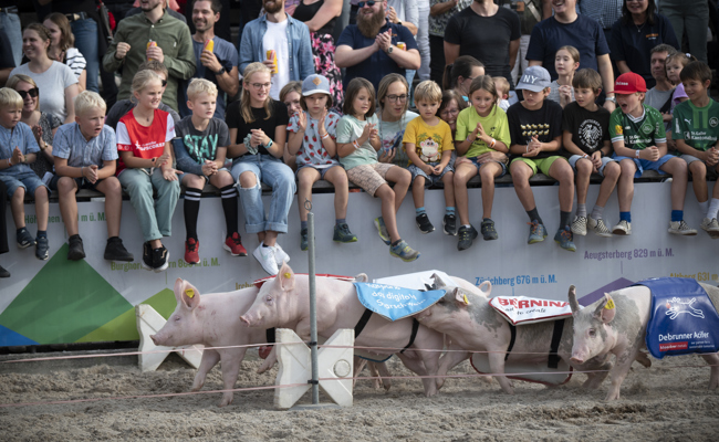 Vorfreude herrscht: Nur noch zweimal schlafen
