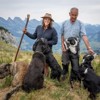 Mit 360 Schafen auf der Alp in Wildhaus: «Wir müssen lernen, mit dem Wolf zu leben»