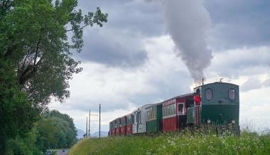 Historisches Rheinbähnli in Gefahr: Unterwegs mit der kleinsten Dampflok der Region