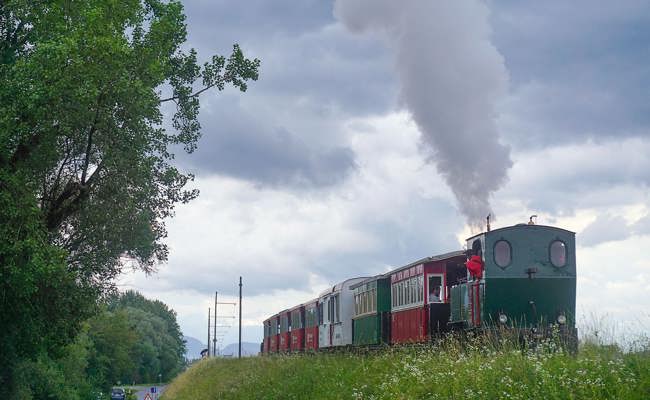Historisches Rheinbähnli in Gefahr: Unterwegs mit der kleinsten Dampflok der Region