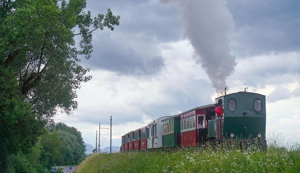 Ein Bild, das man hören kann: Das Rheinbähnli dampft den Rheindamm entlang.