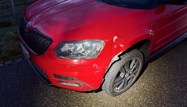 Der 51-jährige Fahrer des anderen Autos konnte auf dem Pannenstreifen anhalten.