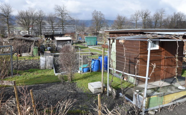 Kleinpflanzer formieren sich, sie wollen für ihre kleinen Paradiese kämpfen