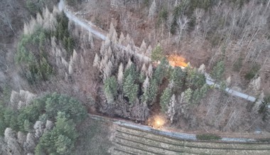 Feuer im Wald: Flächenbrand fordert Feuerwehr