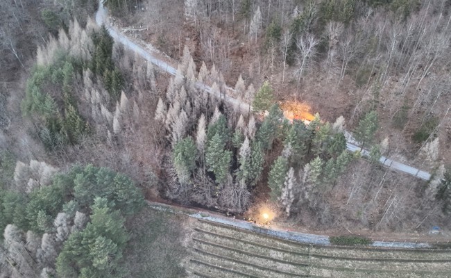 Feuer im Wald: Flächenbrand fordert Feuerwehr