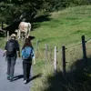 Mehr Strandurlaube statt Wanderferien: Wie der Tourismuswandel die Ostschweiz beeinflusst