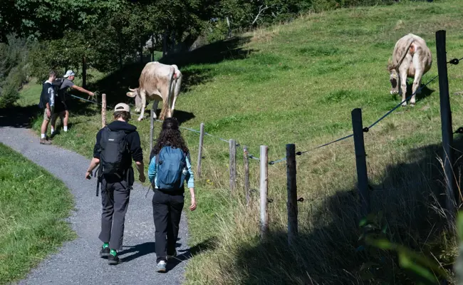 Mehr Strandurlaube statt Wanderferien: Wie der Tourismuswandel die Ostschweiz beeinflusst