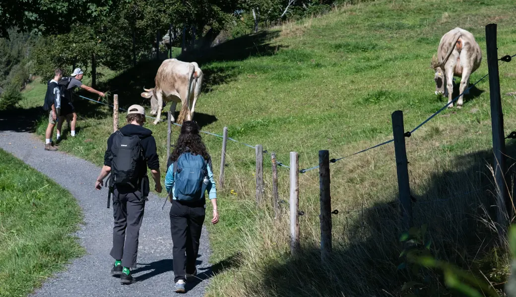 Mehr Strandurlaube statt Wanderferien: Wie der Tourismuswandel die Ostschweiz beeinflusst