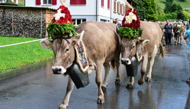 Tiere müssen früher von der Alp – Fest zur Alpabfahrt abgesagt