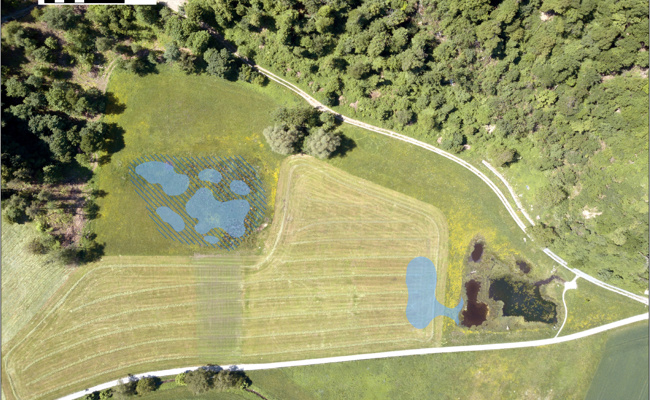 Rietli-Aufwertung geht in Schlussphase