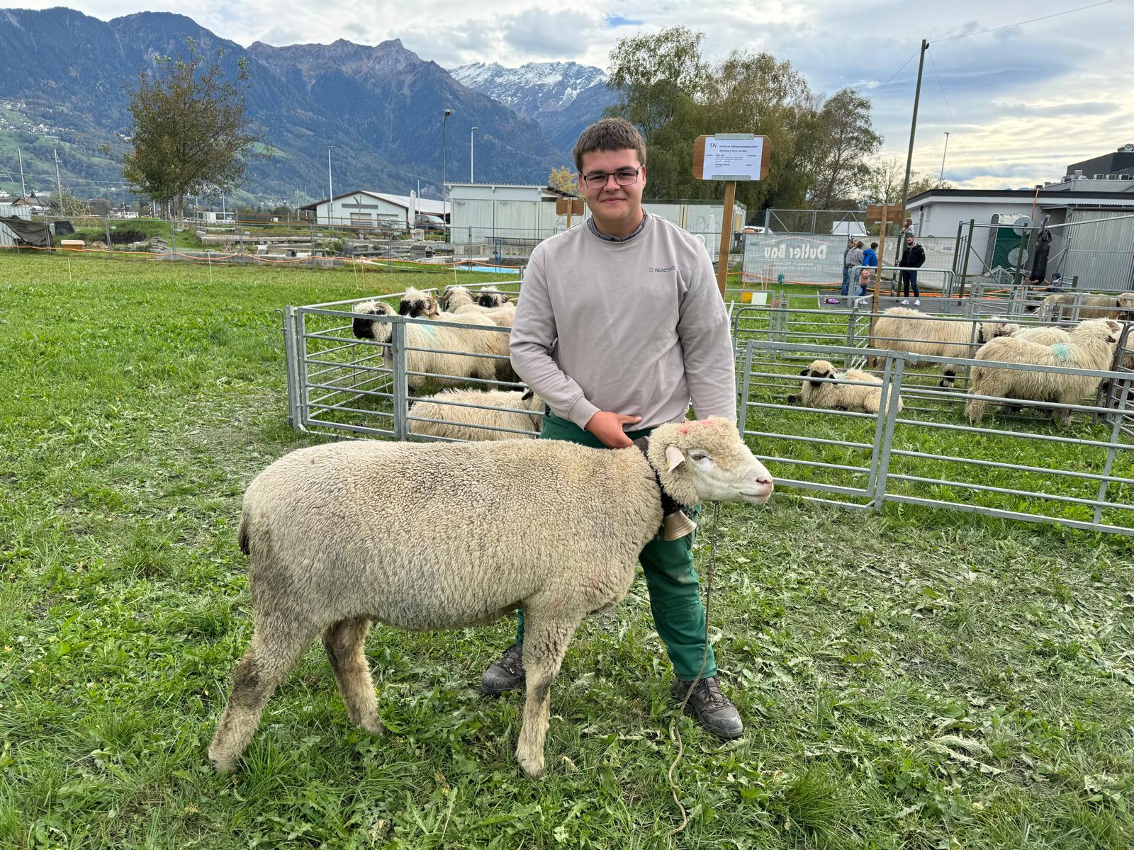 Miss Weisses Alpenschaf – Besitzer Andrin Gabathuler.