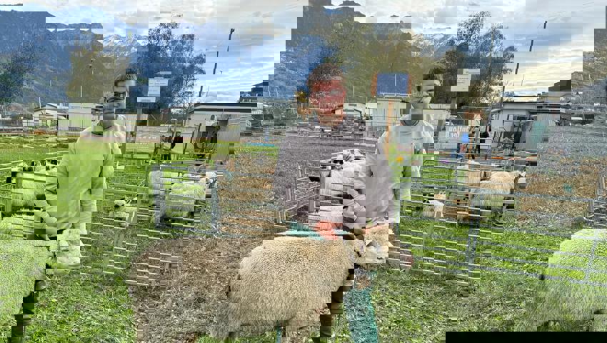 Miss Weisses Alpenschaf – Besitzer Andrin Gabathuler.