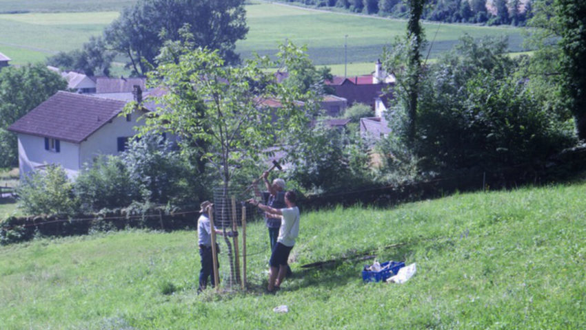 Schutz vor Schäden durch Wildtiere. Schutz vor Schäden durch Wildtiere.