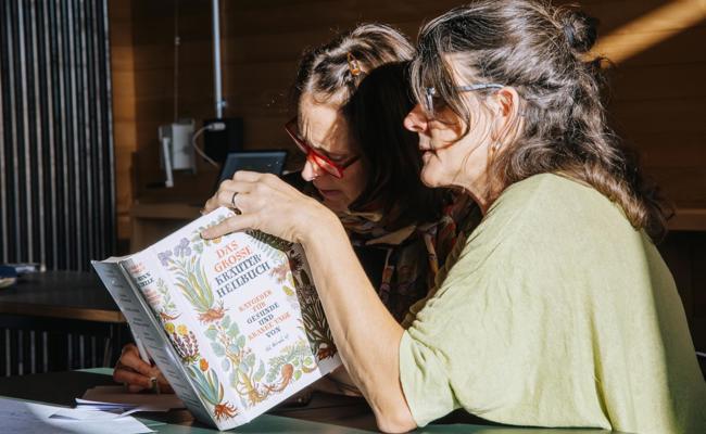 In der Welt der Kräuter: Die Tradition mit der Moderne vereint